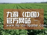 种植基地五