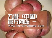 产品展示标题1