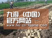 种植基地七(图1)