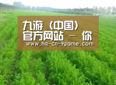 种植基地四