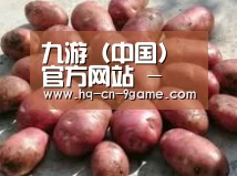 产品展示标题5(图1)