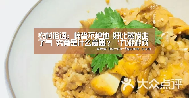 农村俗语:惊蛰不耙地 好比蒸馍走了气 究竟是什么意思?‘九游游戏中心’(图1) 九游游戏中心