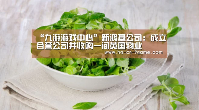 “九游游戏中心”新鸿基公司:成立合营公司并收购一间英国物业(图1) 九游官网