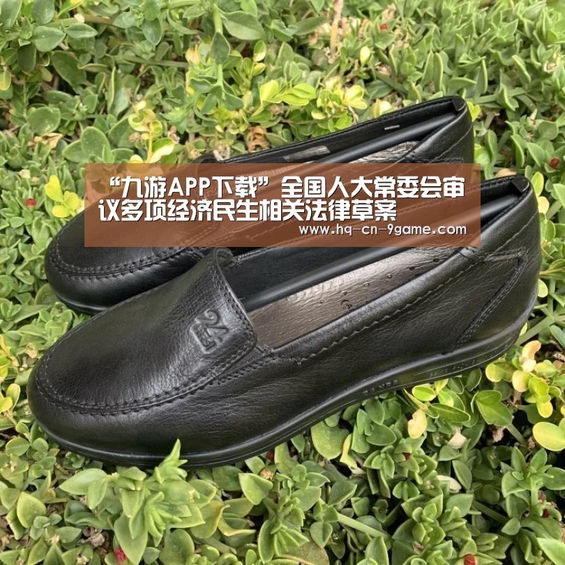 “九游APP下载”全国人大常委会审议多项经济民生相关法律草案(图2) 九游游戏中心