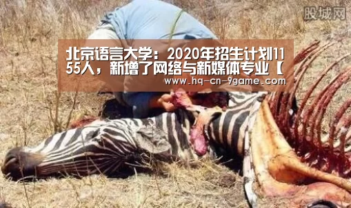 北京语言大学:2020年招生计划1155人,新增了网络与新媒体专业【九游游戏】(图4) 九游游戏中心