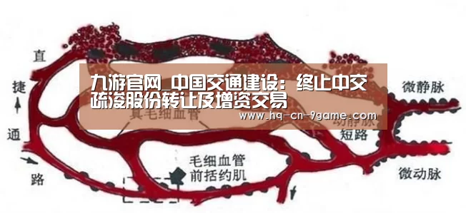 九游官网_中国交通建设:终止中交疏浚股份转让及增资交易(图1) 九游游戏